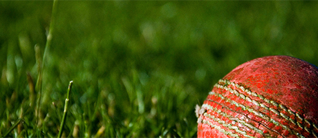 close up of cricket ball on the grass