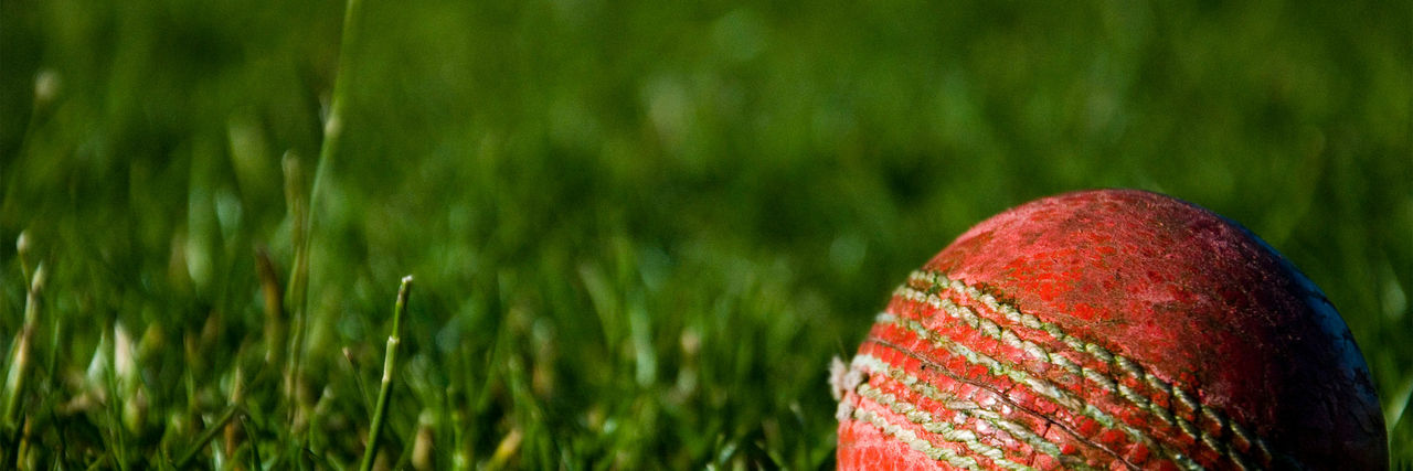 close up of cricket ball