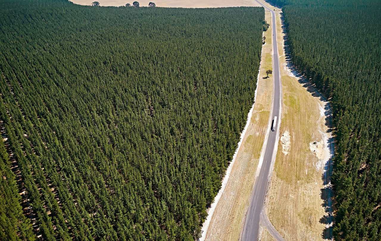 Aerial view of long highway in the middle of a thick forest of green trees