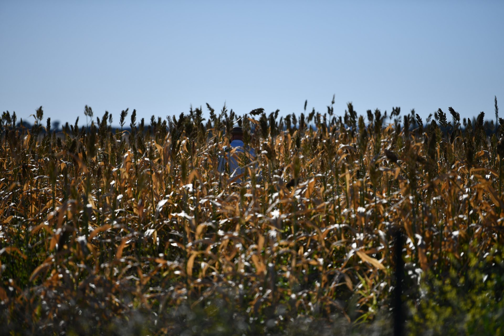 Agrimix Farm NAB Customer