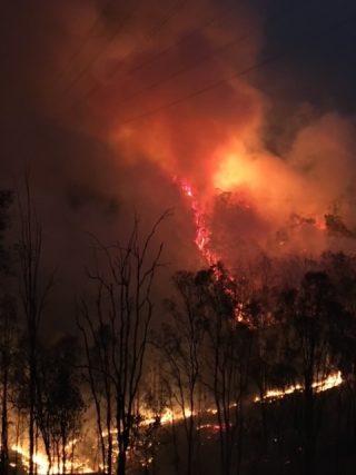 A photo of bushfires 