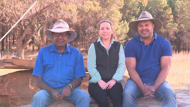 Celebrating Indigenous Business - NAB News