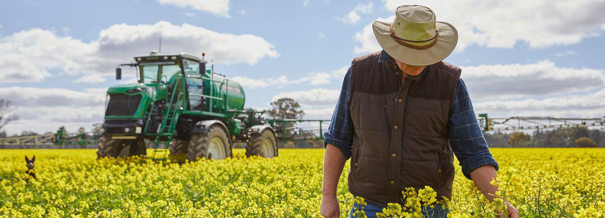 Tax time tips for Australian agribusinesses - NAB News