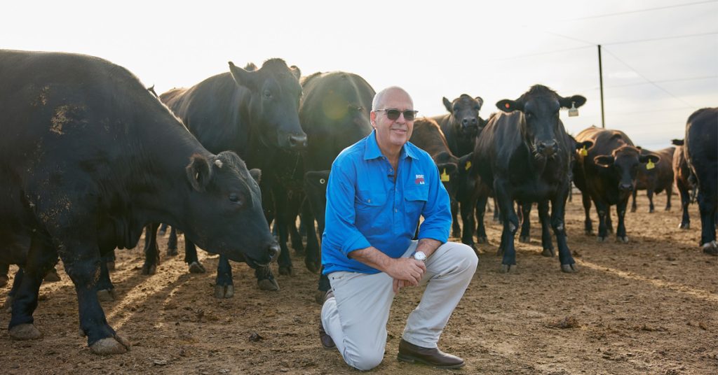 A man in a blue shirt and white pants kneels on grass in front of a group of cows.