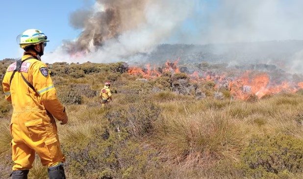 Firefighter standing in front of fire